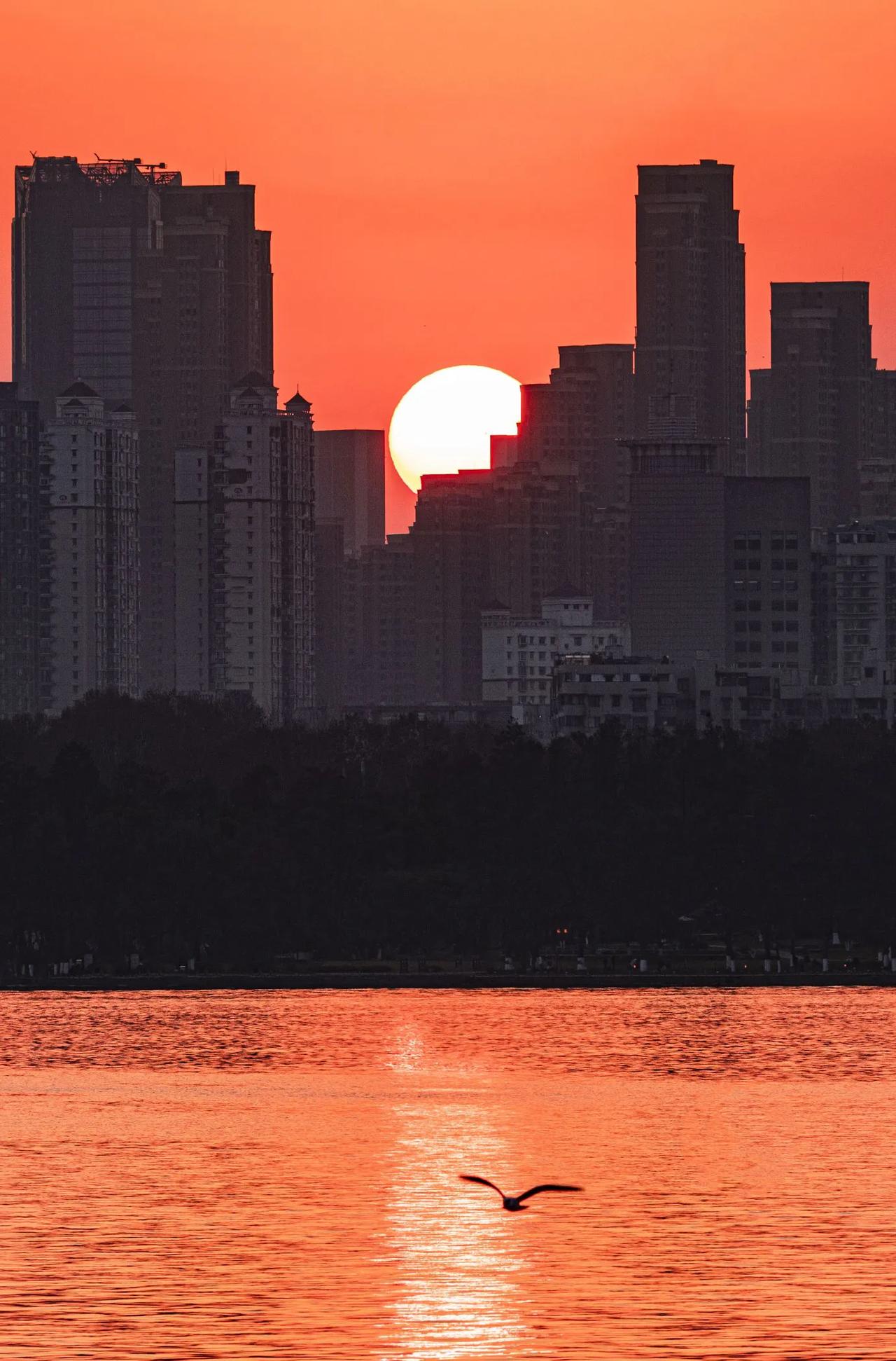 野船著岸偎春草，水鸟带波飞夕阳