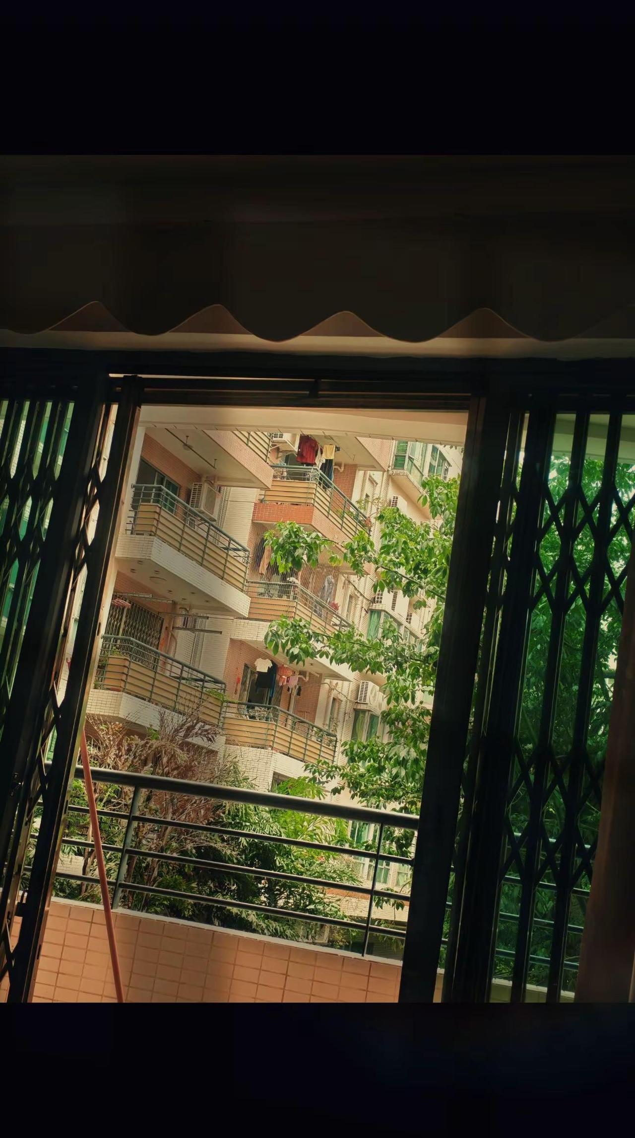岁月静好，阳光洒在绿意盎然的窗外，仿佛时间在这里慢了下来。这样的角落，藏着城市的