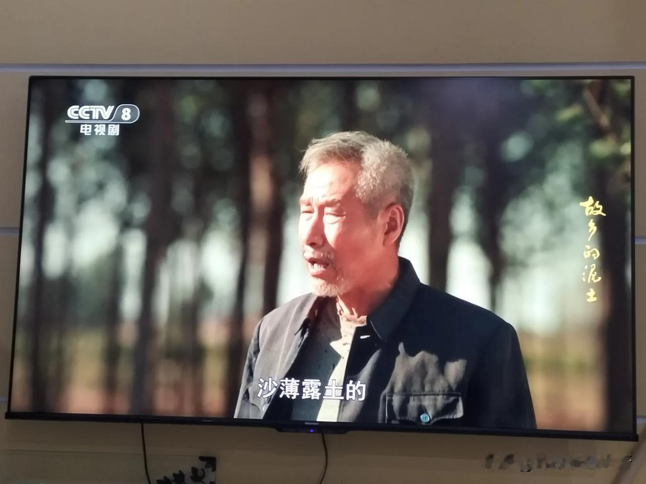 《故乡的泥土》中这几个老演员还有些，乡土气儿，年轻演员，怎么看也有市井味儿，也许