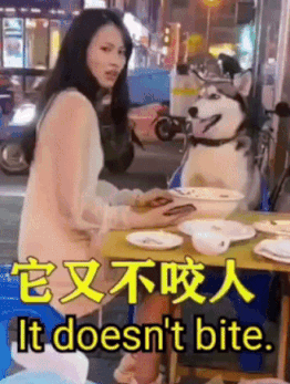 狗狗：我确实不咬人