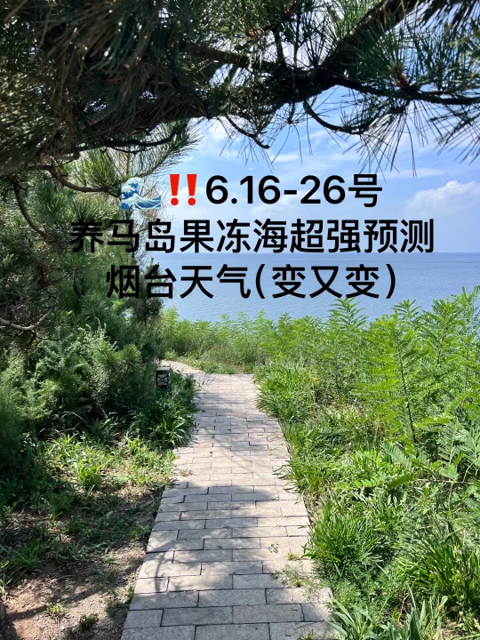📍6.16-26号烟台养马岛果冻海超强预测
