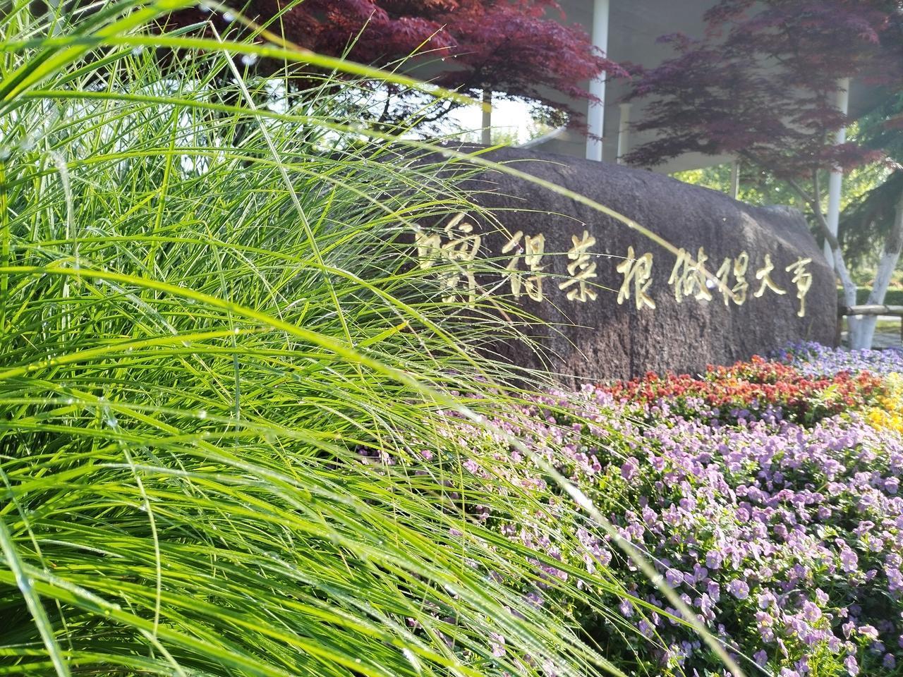 【趣联联趣】
上联：南园，青春无限美
下联：？
【一字千金】
《晨读》
南园新老