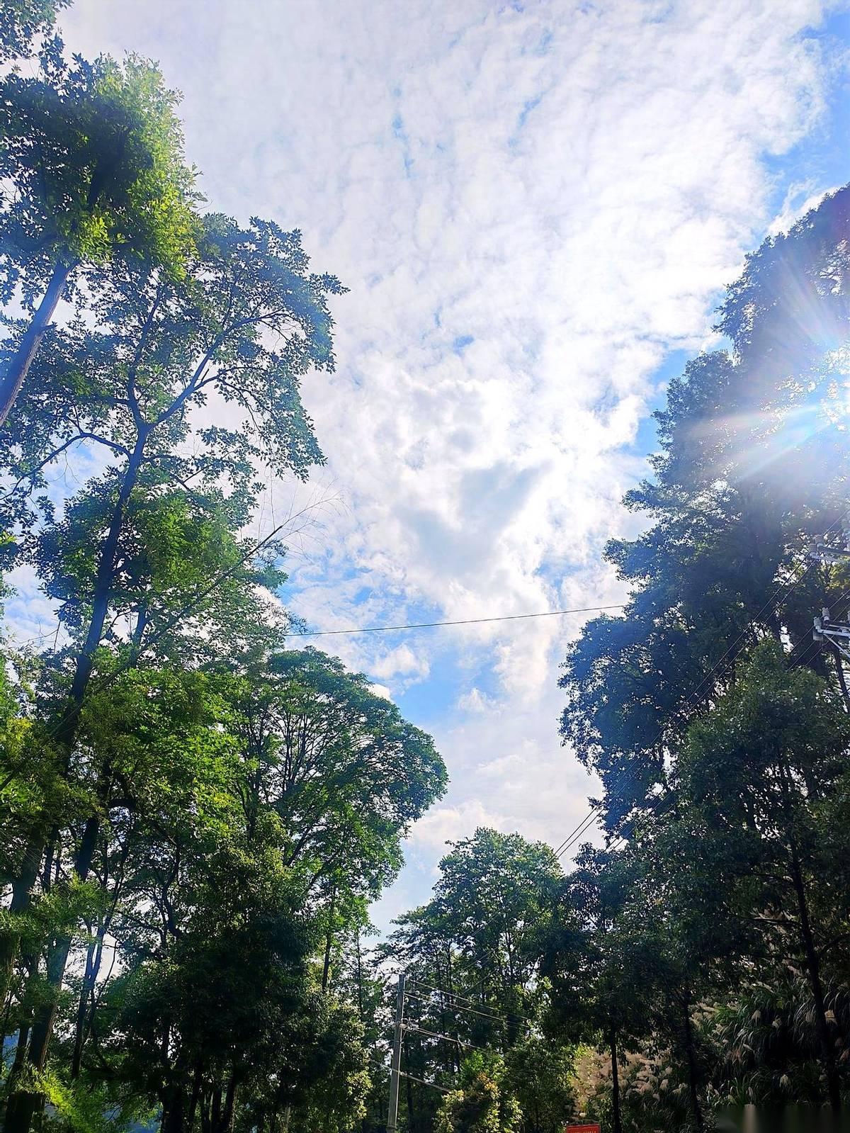妈呀，今天听了个事儿，给我惊得半天没回过神。
复旦的研究生，光是租房，三年就得花