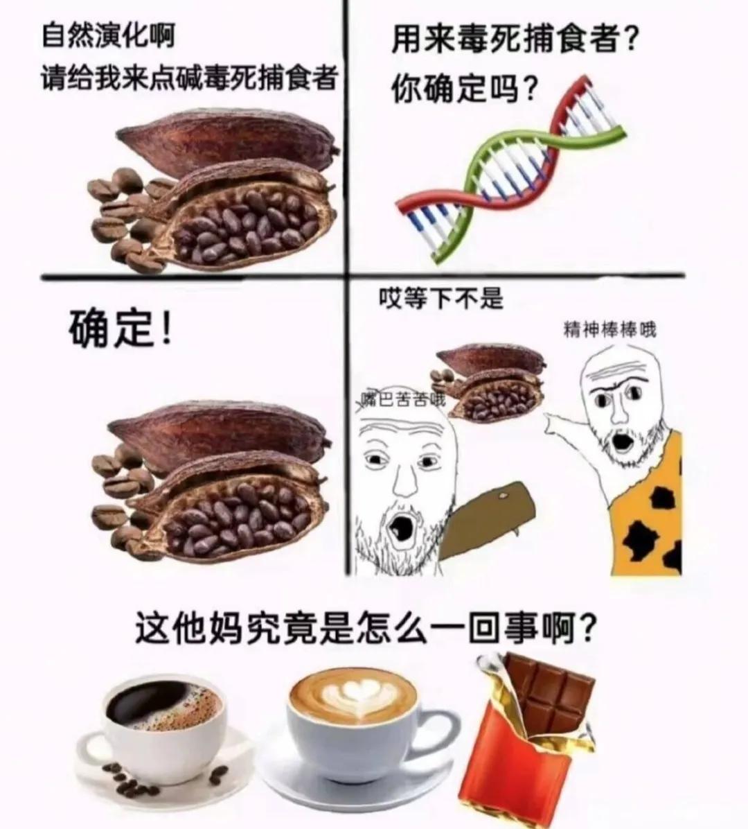 生物进化