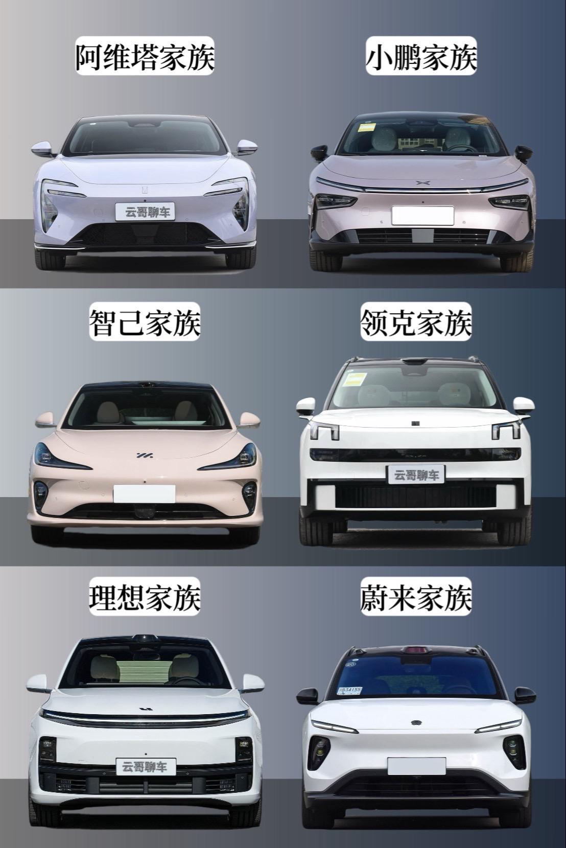 这些新能源汽车的家族式造型谁更耐看。
