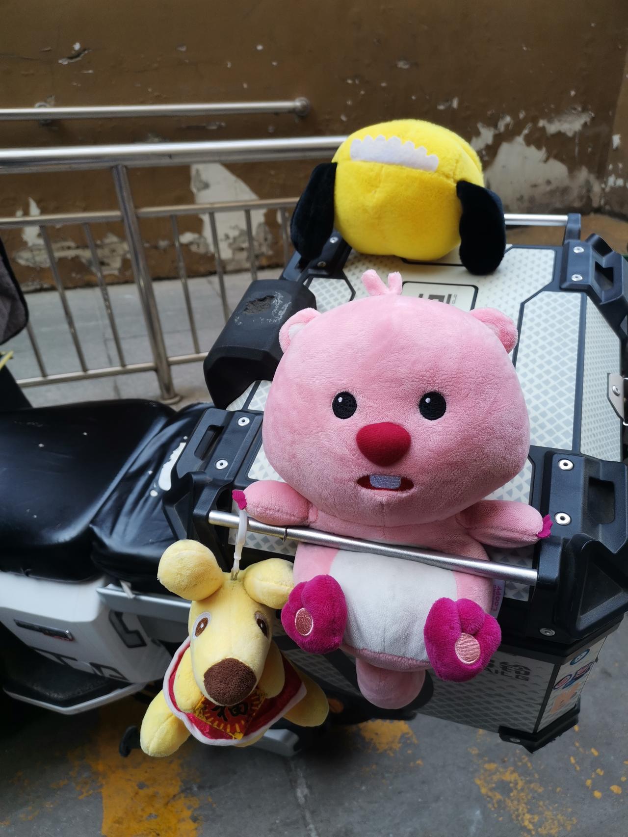 下楼时正好遇到外卖小哥来送外卖，忽然发现他的电动车上还挂着这样可爱的玩具！真是意