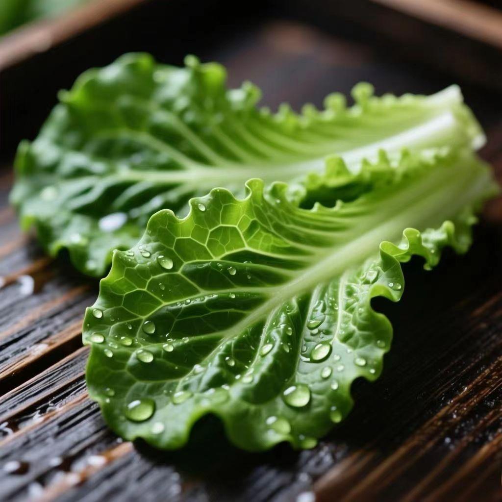 离谱！几片青菜10万+流量，我写的文字却无人问津？今天我也来试试！
 
冬日生活