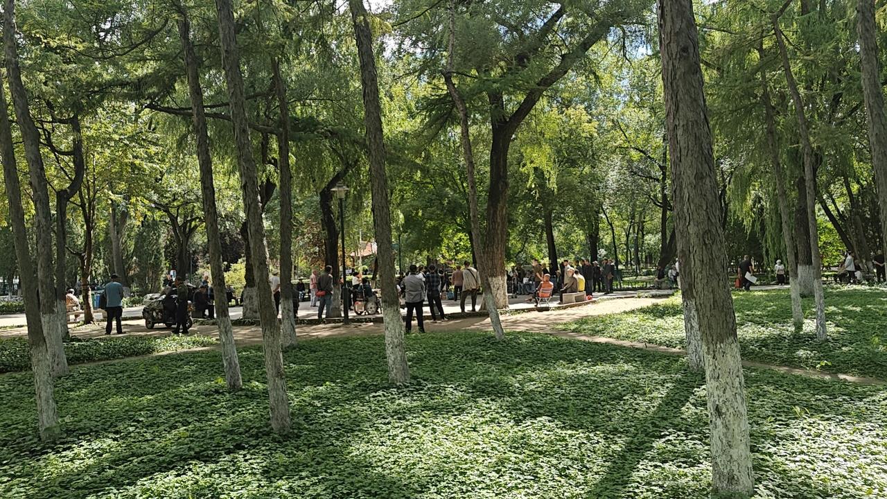 哈尔滨现在是凌晨3点46分，天还没有亮。二大娘在里屋，我在外屋。里屋外围，洗手间