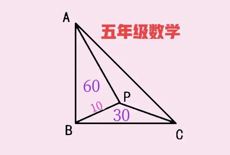 “团灭，一个会的都没有！”【贝笑错题集】第5题，这是一道某教培机构“流出”的五年