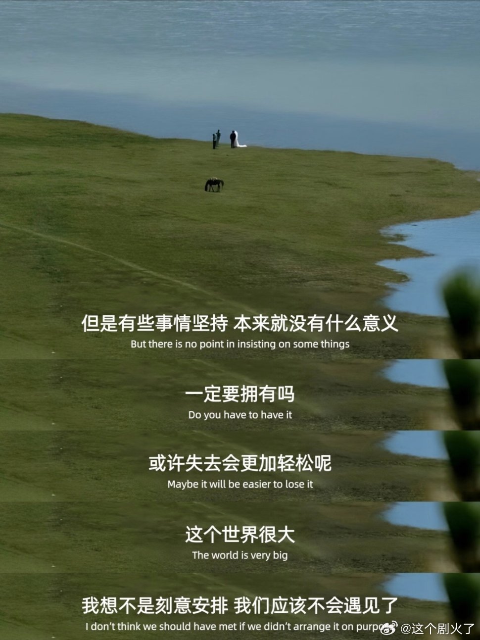 突然被这段话治愈了。 