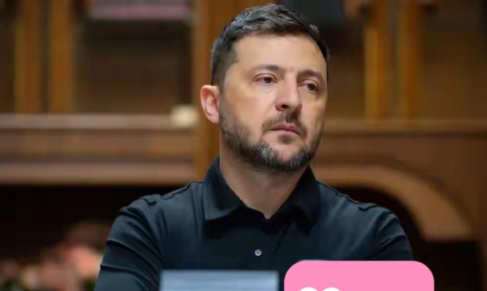 环球网消息，眼看泽连斯基即将赴美之际，白宫突然放话指出，美国将决定俄乌停火协议的