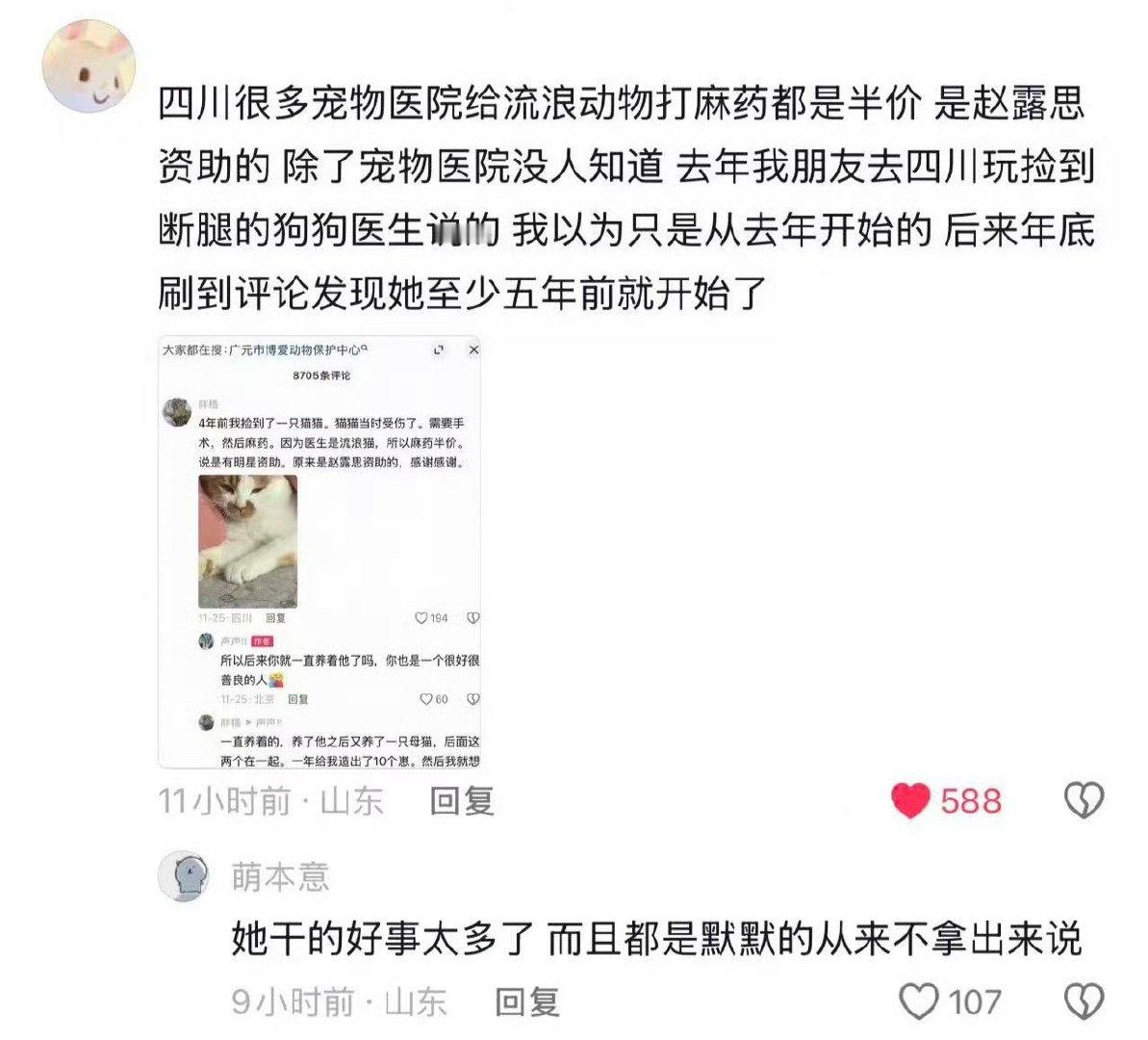 会有天使降临人间赵露思