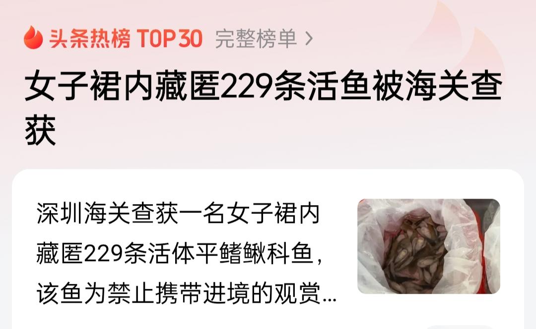 明知禁止进口还藏匿活鱼通关，其目的何在？其心险恶呀！女子不但带了，还且在自己裙内