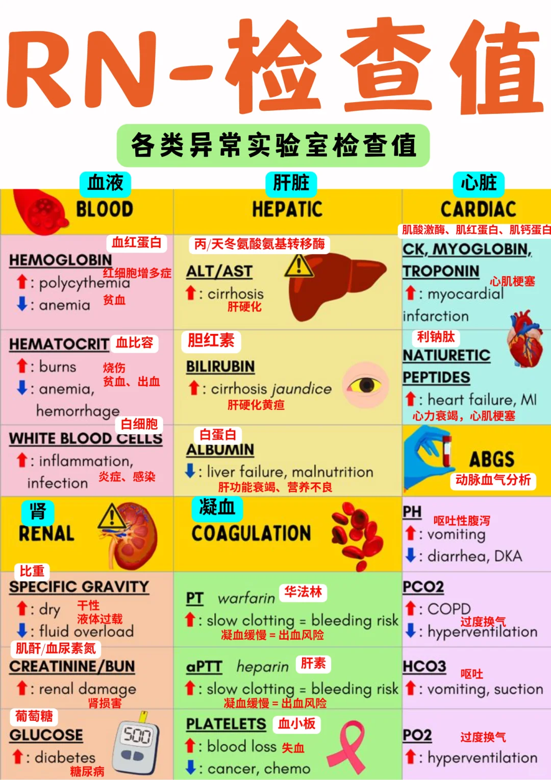 备考RN/实验室检查值！！学！！单词
