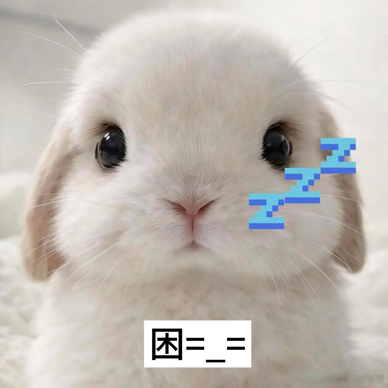 好饿，睡觉叭。。。 