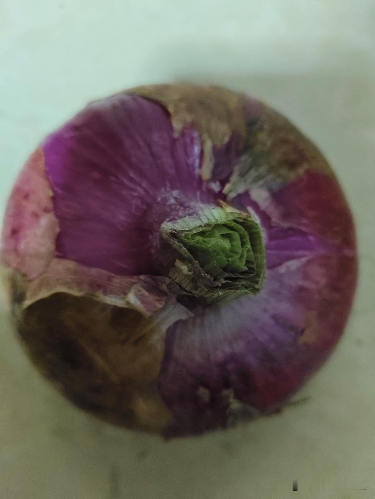 我精神是不是有问题了
      嘿嘿……这可没人逗我呀！我实在忍不住笑了起来，