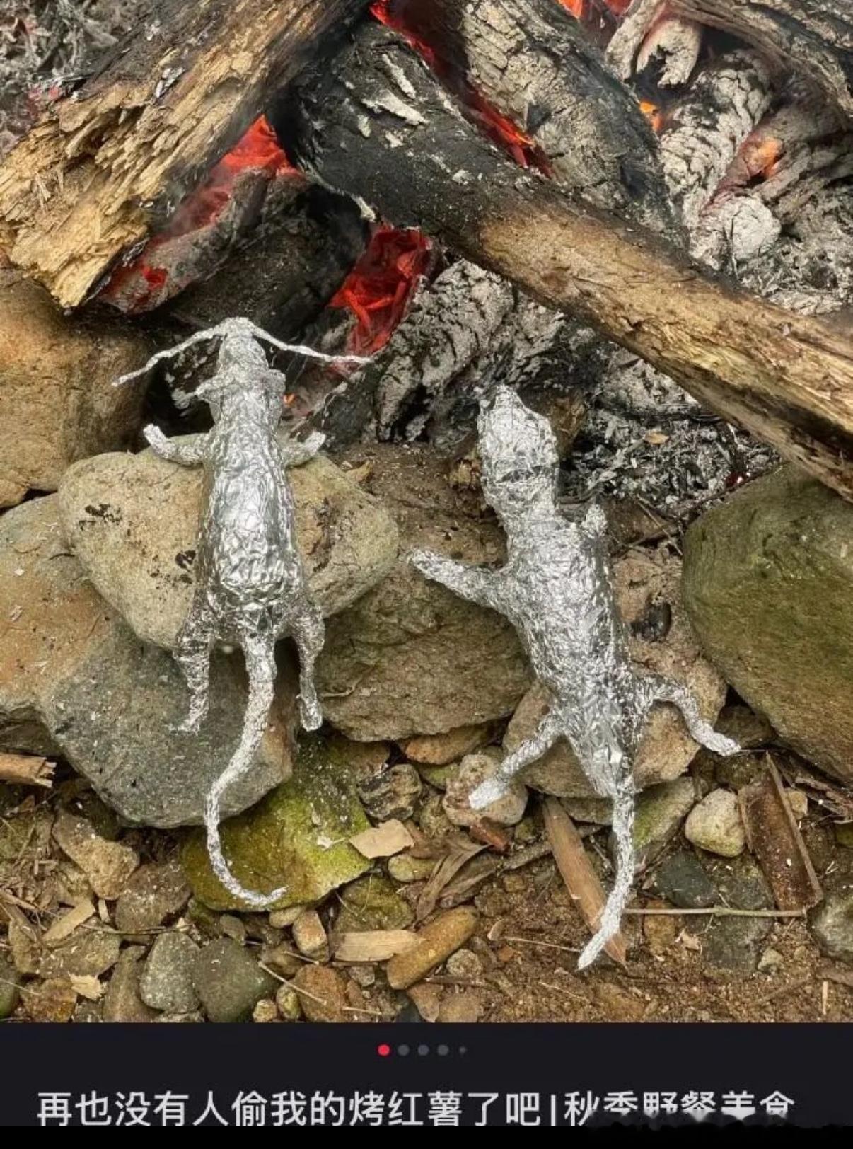 5463传出去 中国人连老鼠都敢吃 ​​​