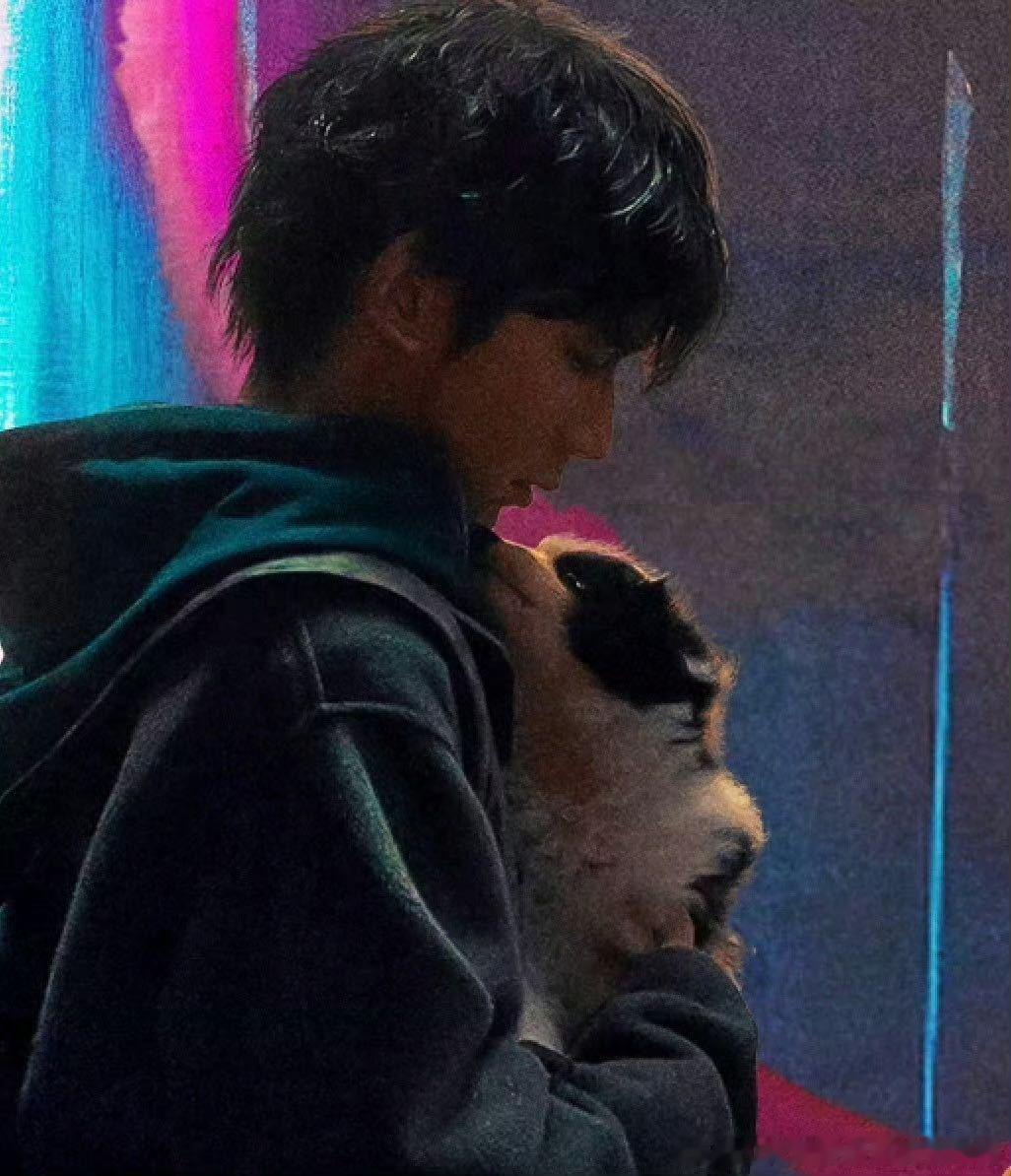 王源发的不会做蹲起的小熊 分享趣味小日常，不会蹲起的呆萌小熊可爱登场，这也是《我