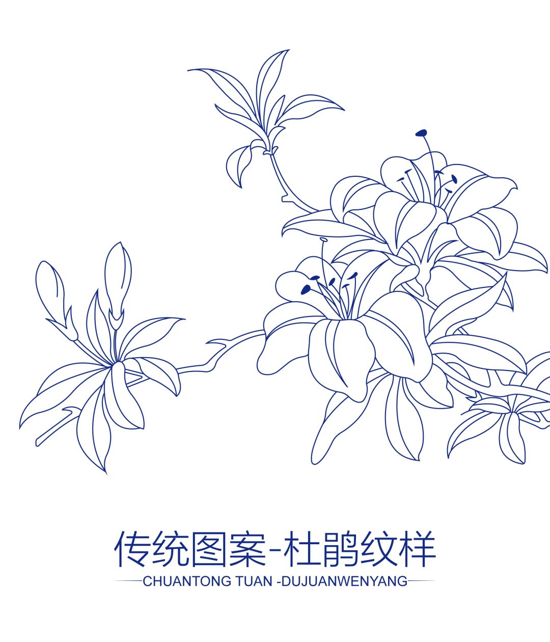 传统图案-杜鹃纹样