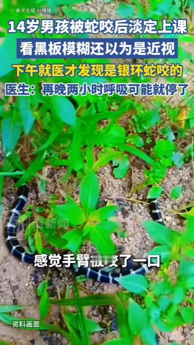 "怎么感觉黑板越来越模糊？"广州，一名14岁初中生小陈在学校草丛捡东西时，手臂被