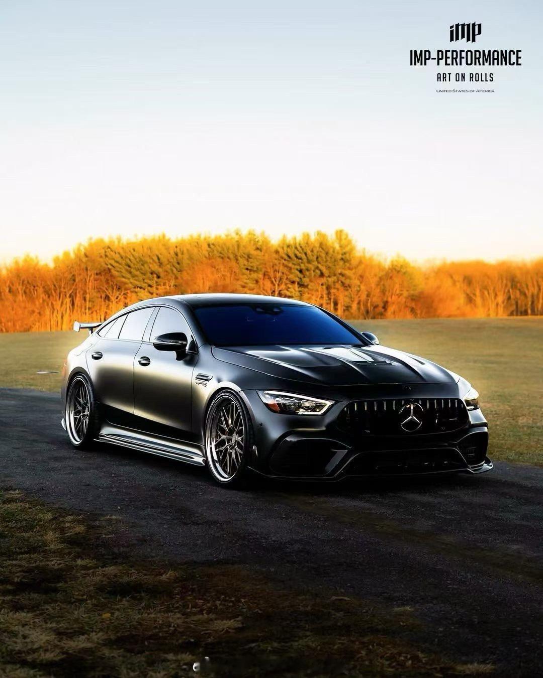DarwinPRO🇺🇸iMP®-PerformanceAMG GT63 S 