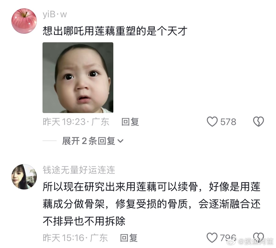 好神奇，原来莲子里面真的有小孩，第一次发现这个横截面的简直是天才 
