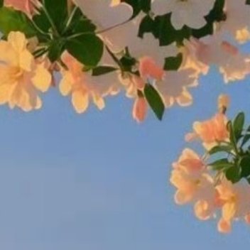 每日一善 阳光信用每日一善 0000信念是心灵的灯塔，它指引我们在黑暗中找到方向