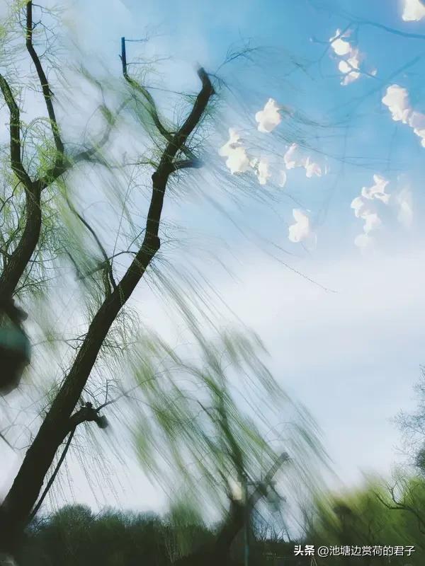 对联真是个神奇的东西，短短几个字，就能勾勒出无尽的意境和情感。就像这个上联“春风