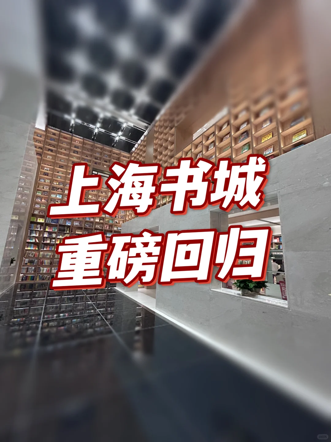 10万人已打卡新上海书城，你去过了吗👉