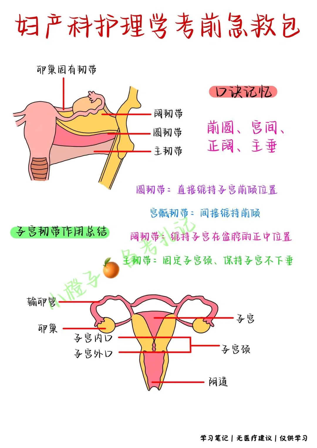 📖护士考试｜妇产科｜考前急救｜➕分