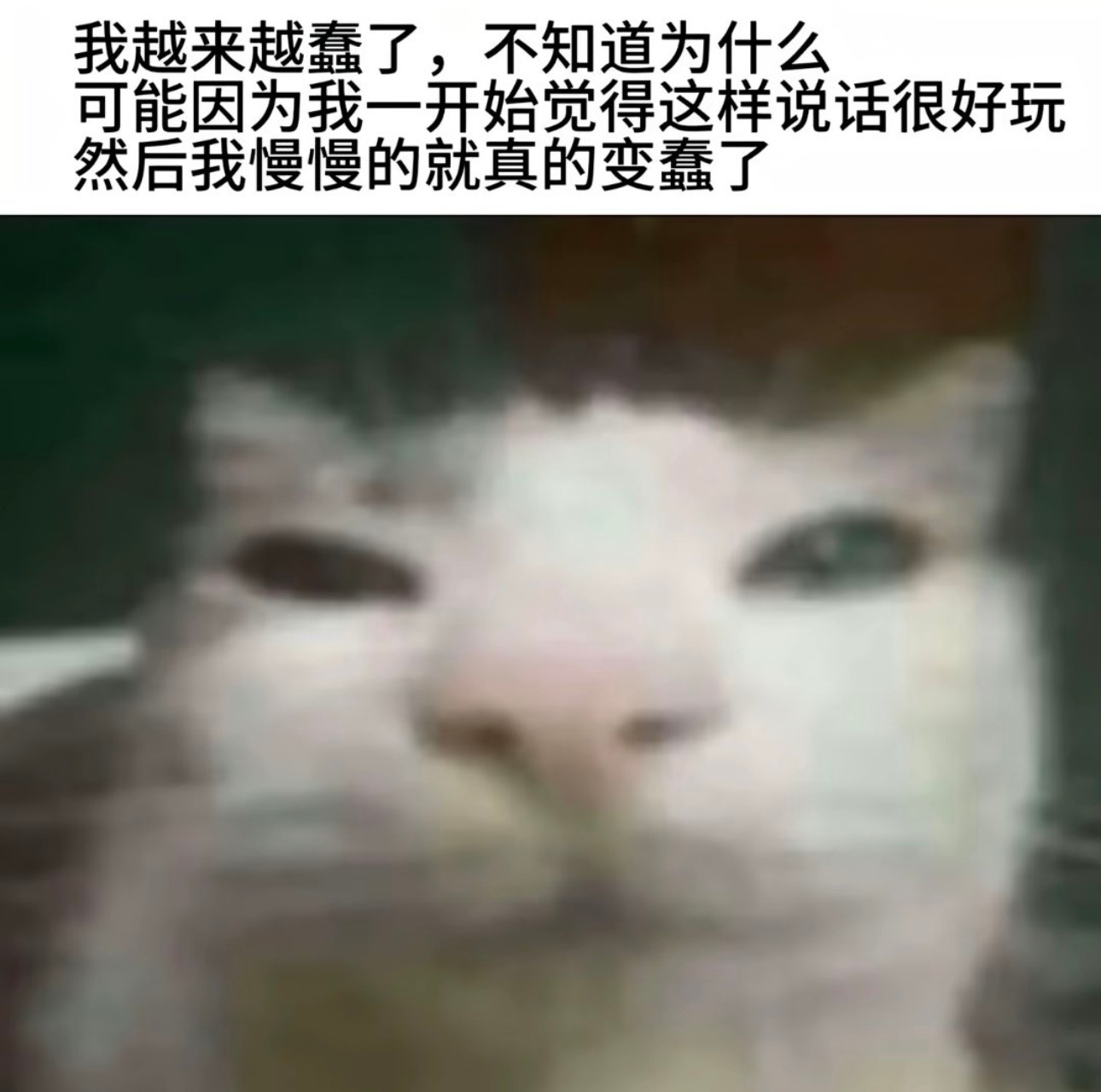 有时候真的会故意搞怪胡言乱语🥲 时间久了好像…今日memesfunny mem