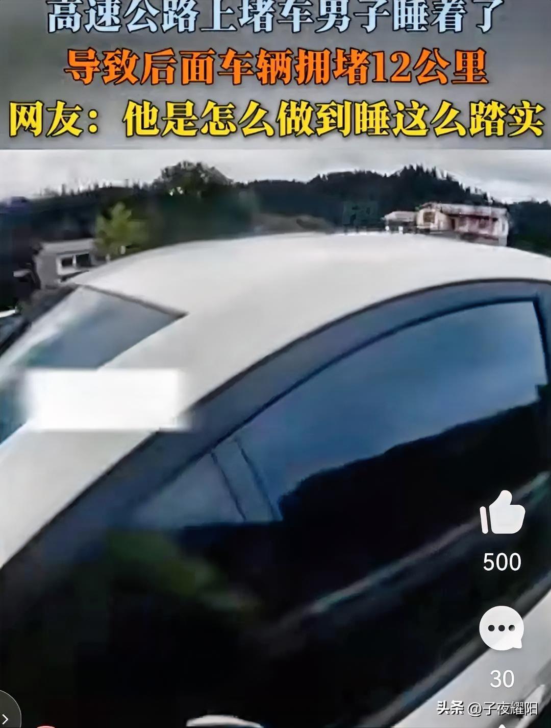 这司机真的是，一人给他一拳都不为过。某地高速上，一司机停车休息导致后面堵了十二公