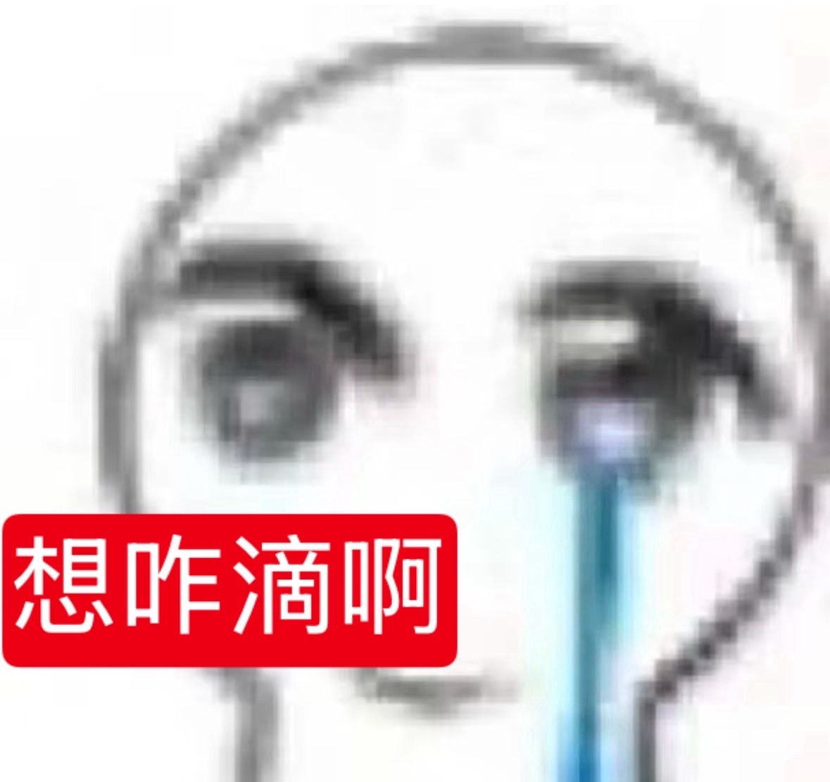 特别不理解为什么有一些连锁店为什么会把大家都喜欢的产品下架？都不做市场调研的吗？