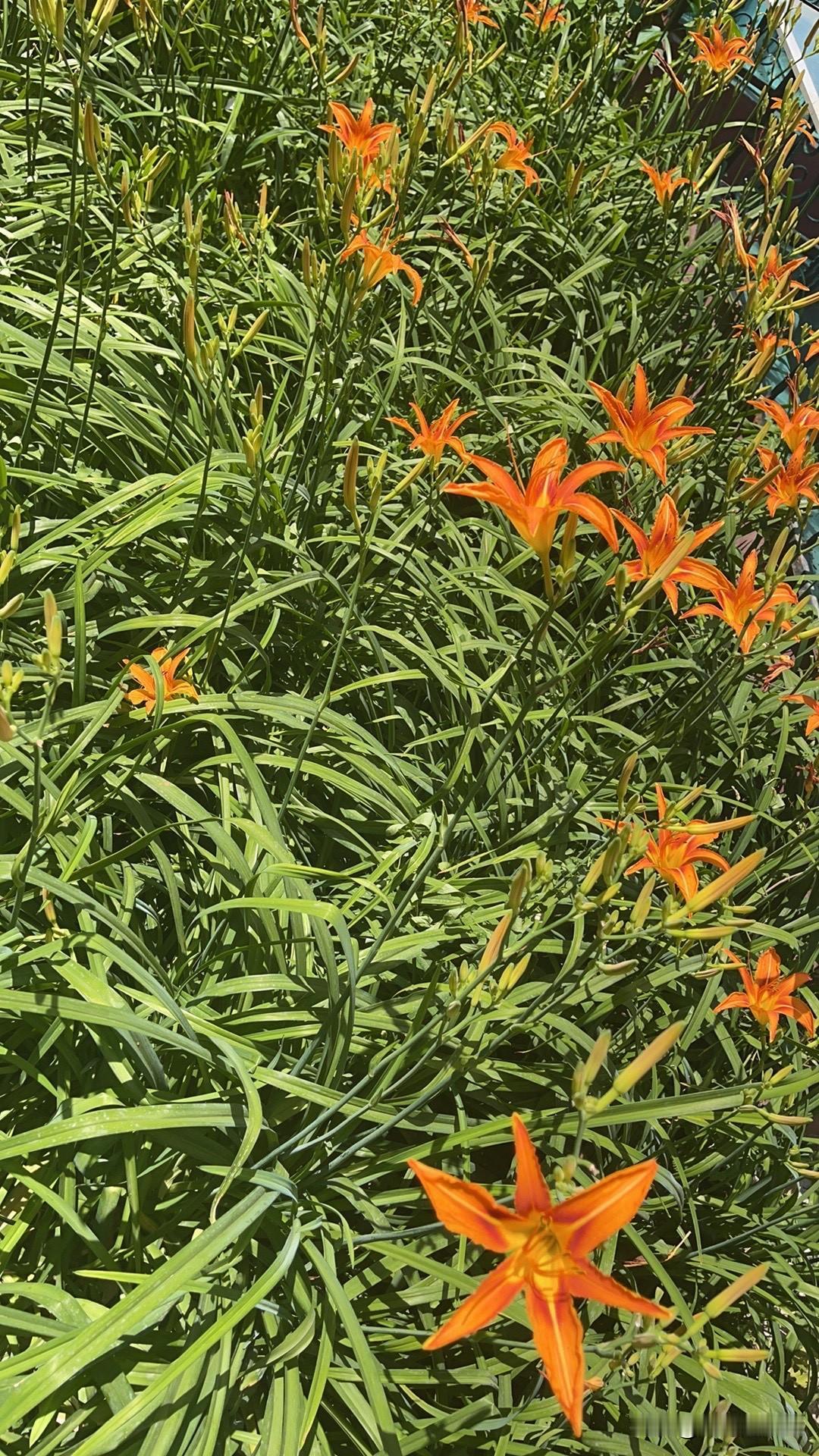 这两天的欢乐二打一节目，挺好看的！
什么故事都发生了……
大家骂完那个孙……前天