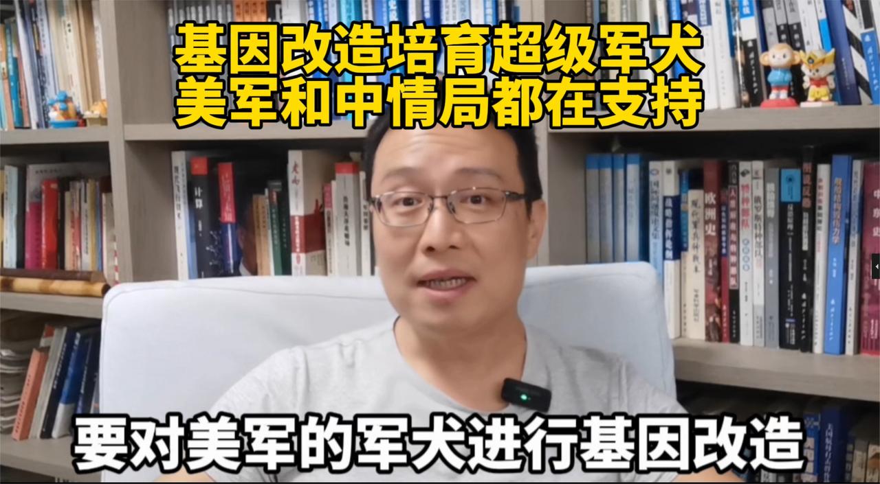 基因改造培育超级军犬，美军和中情局都在支持！