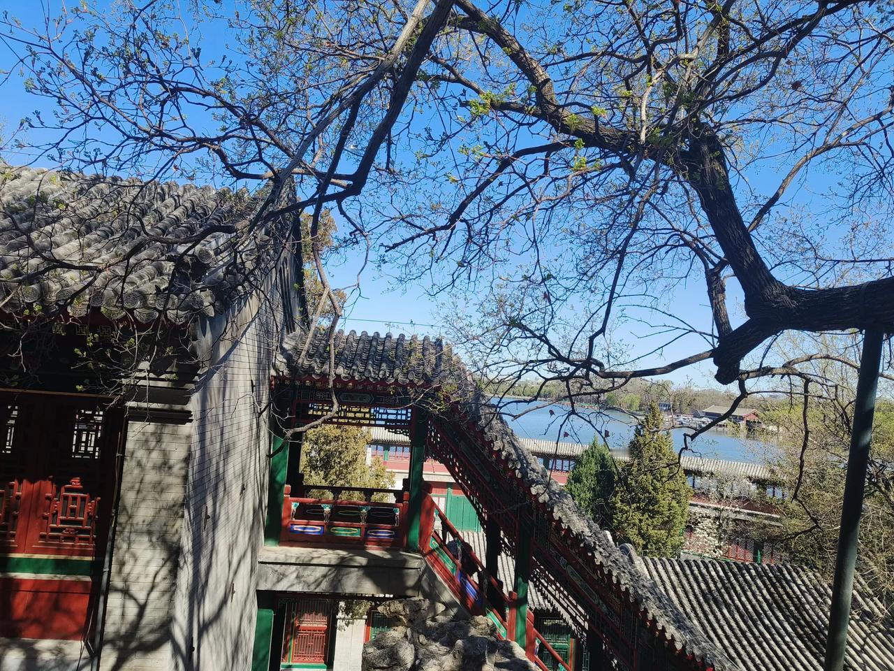 现在很多人都喜欢单身，有时候在想单身挺好。
只是，老了以后是个问题，头段时间看到