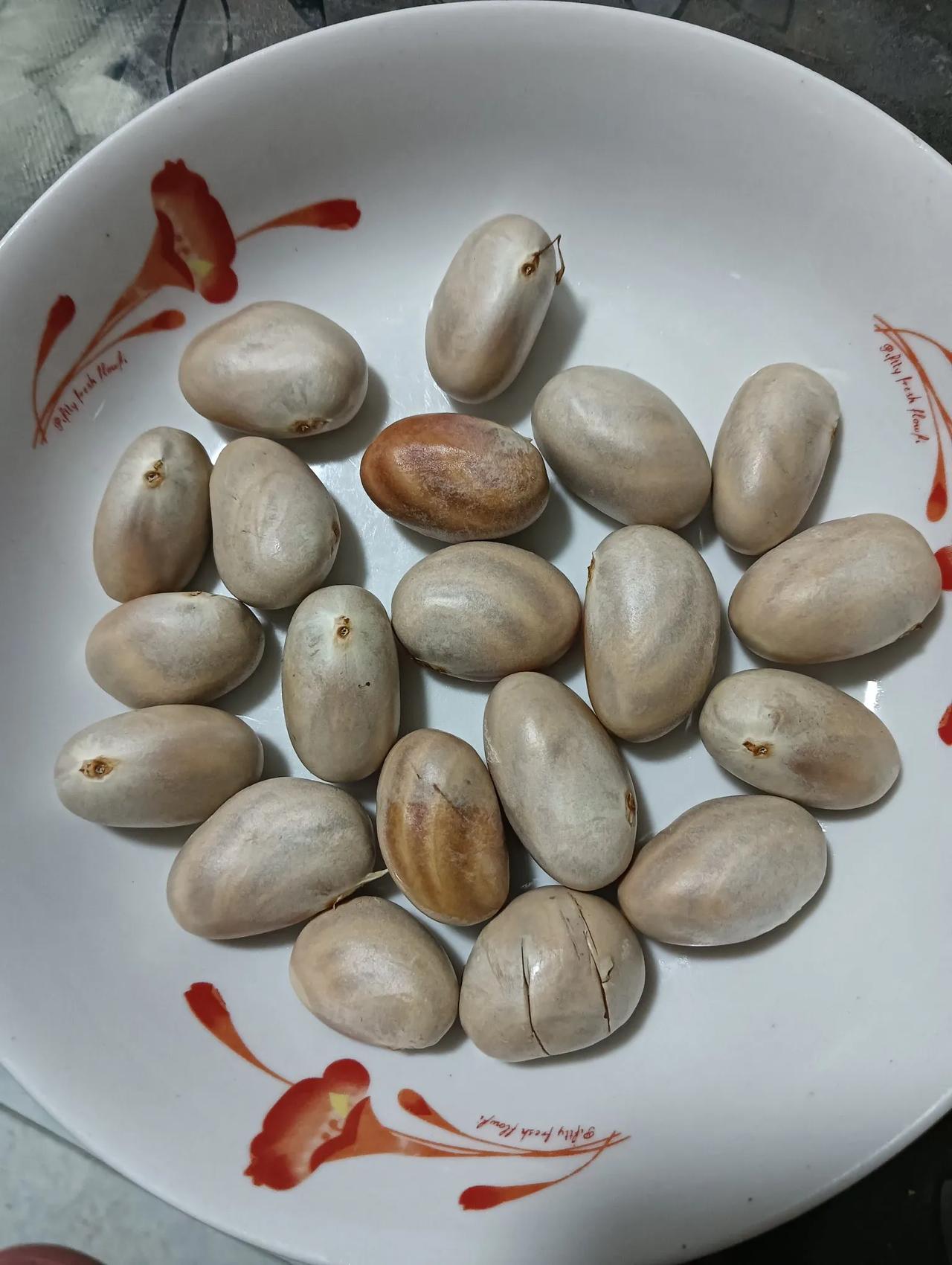 猜猜这是什么！

   揭晓答案，这是菠萝蜜的种子。我留下它们，可不是为了要种菠