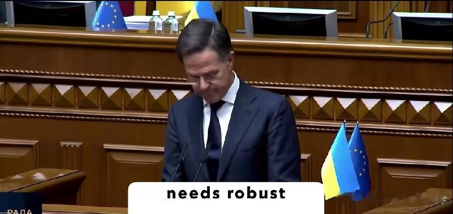 前脚北约秘书长吕特刚和泽连斯基给阵亡乌军献花，后脚就冲上乌克兰议会演讲劝和，结果