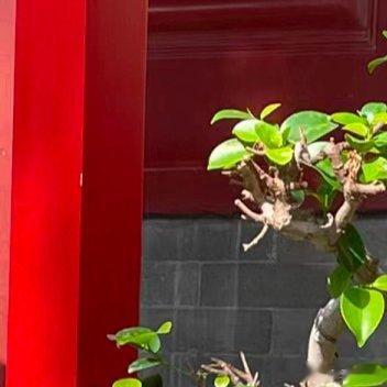 在晚年的岁月里，它会散发出成熟的味道。朝向西北方向时，卧室有一个职业上的特点，即