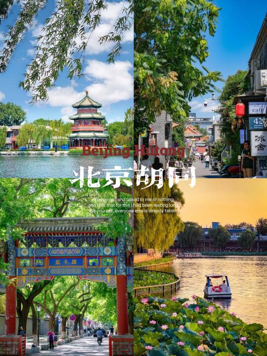 🌲最适合北京夏日的citywalk路线出现了🌳