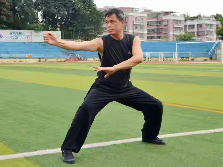 蔡李佛：南拳传奇的璀璨华章

蔡李佛拳是岭南武术的杰出代表，由广东新会人陈享于1