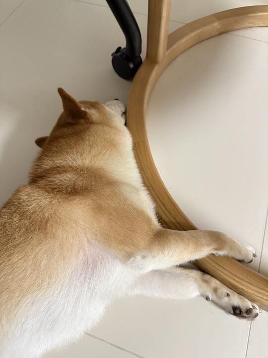 从小就喜欢抱着东西睡觉