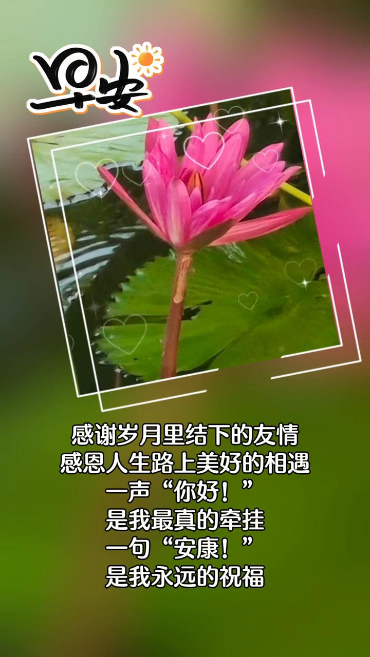 感谢岁月里结下的友情，感恩人生路上美好的相遇。一声"你好！"是我最真的牵挂，一句