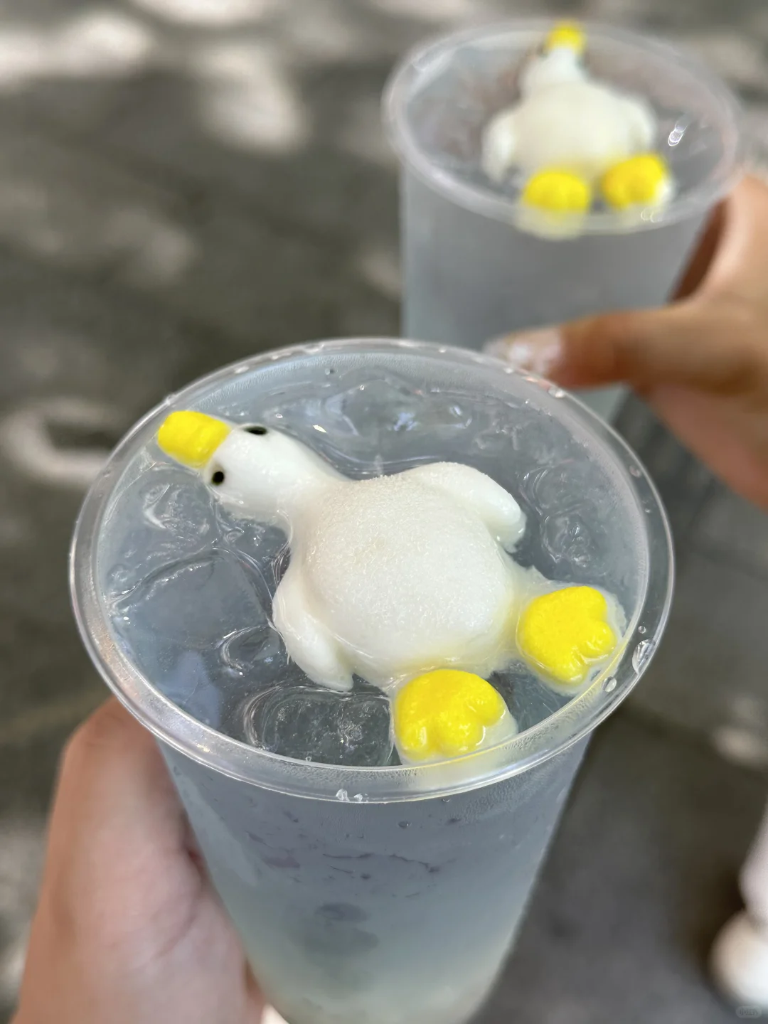 南京新开哒！！近期的小惊喜！！