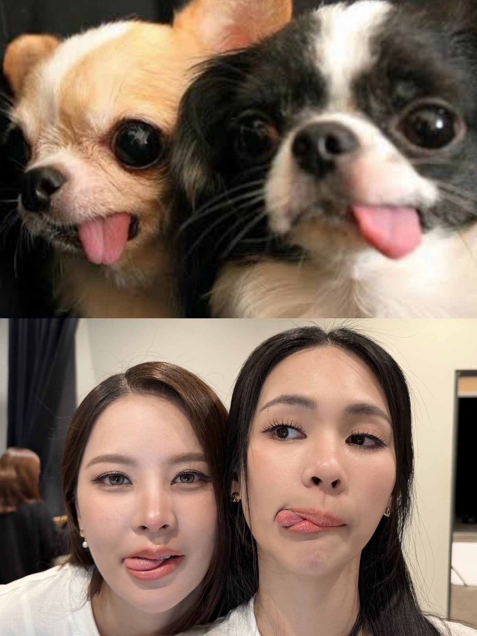 [女孩儿] ​​​