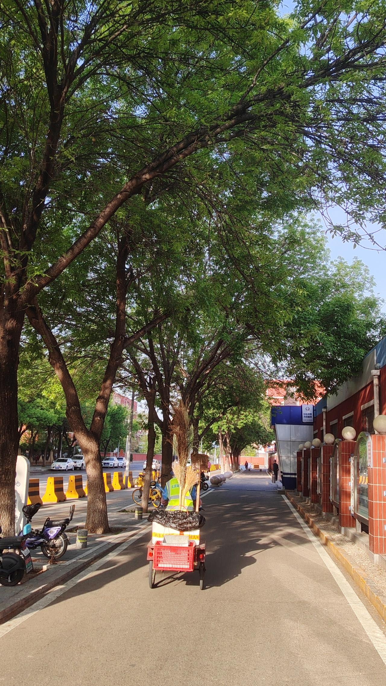 警句： “种树最好的时间是十年前，其次是现在。”

小故事： 一位老农在荒山上种