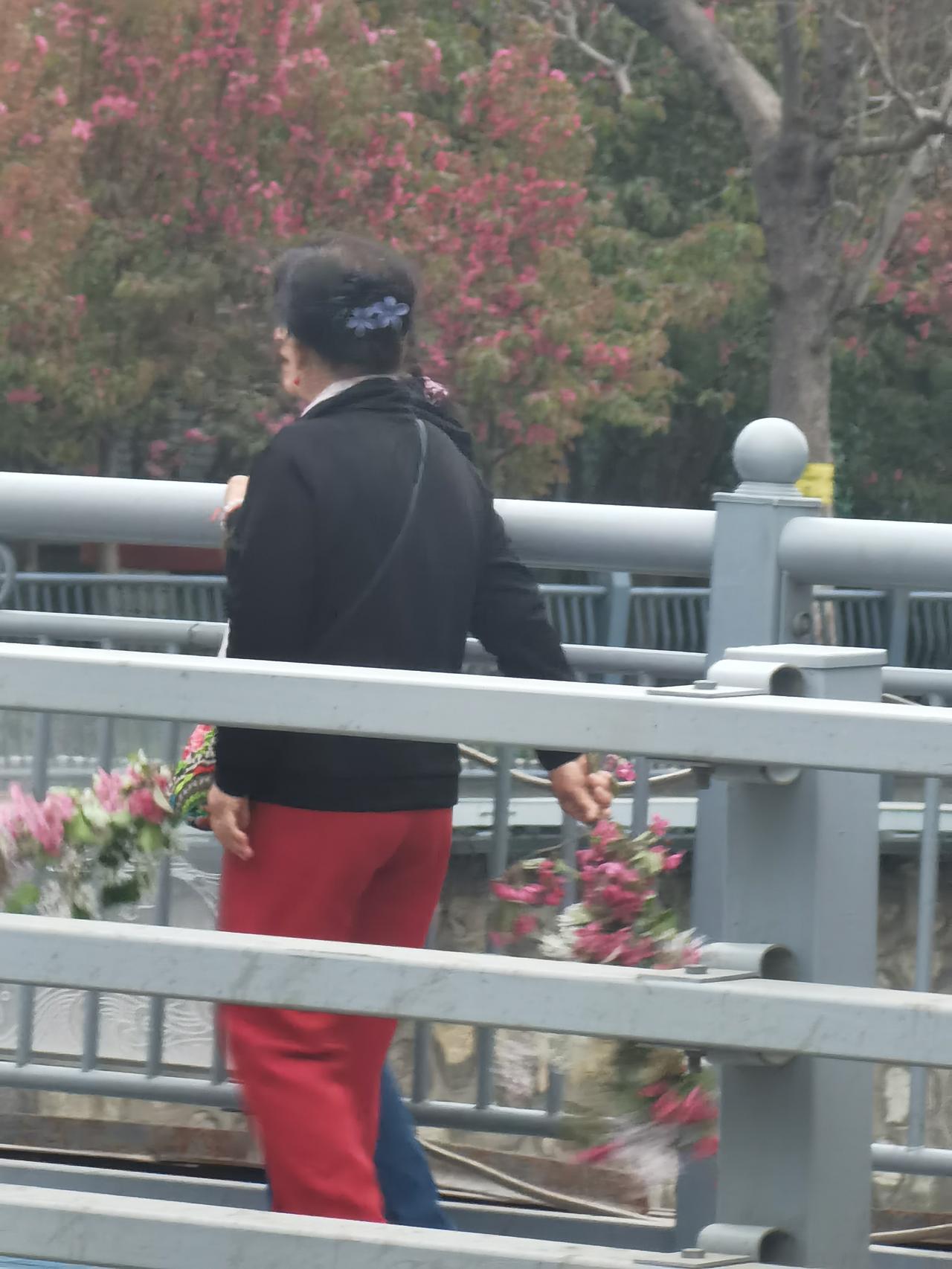 明目张胆搞破坏！ 下班路过石家庄民心河街角公园，海棠花桃花都开了，姹紫嫣红，美不