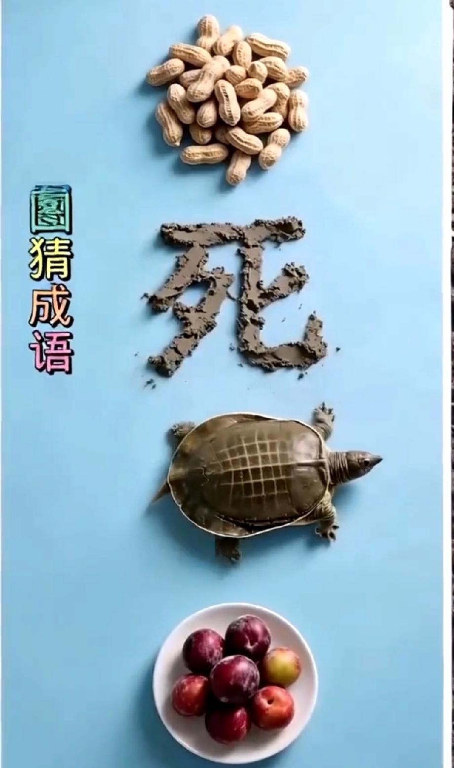  敢不敢接招？这张“花生、死、乌龟、李子”的图，我赌90%的人要想3秒