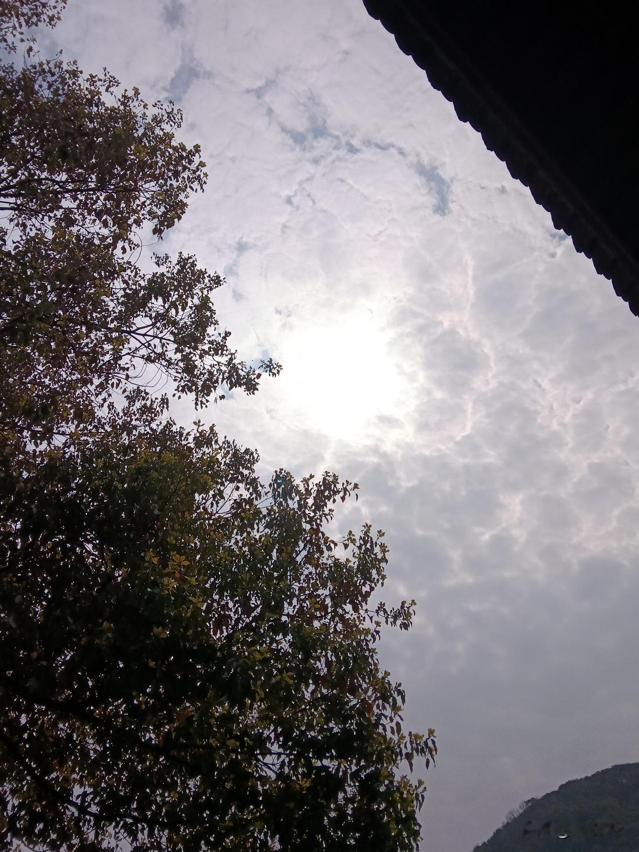 说两件尊重领导的小事。本人所见的和亲身经历的。

在一家浙江小工厂里，有两位四川