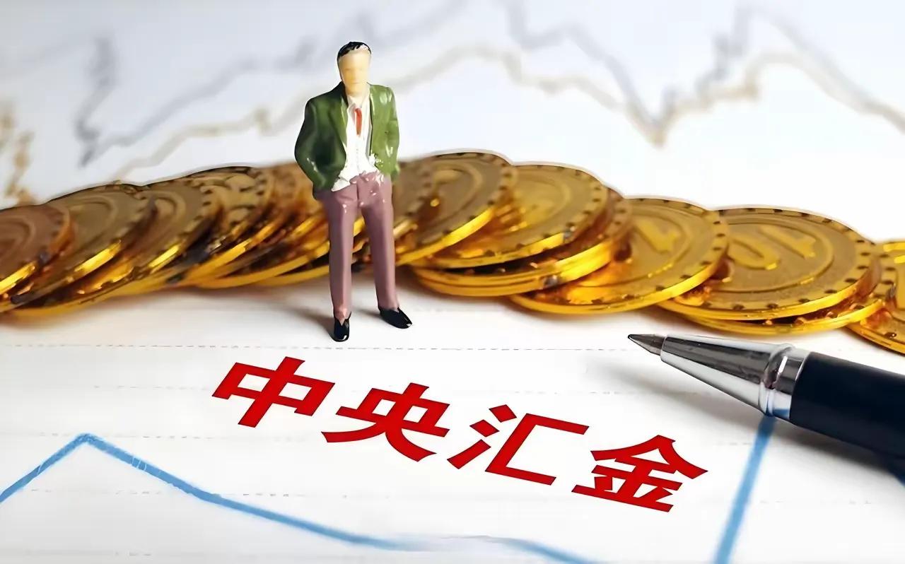 揭秘中国真正的顶级资本——中央汇金！
………………………………..
中央汇金没有